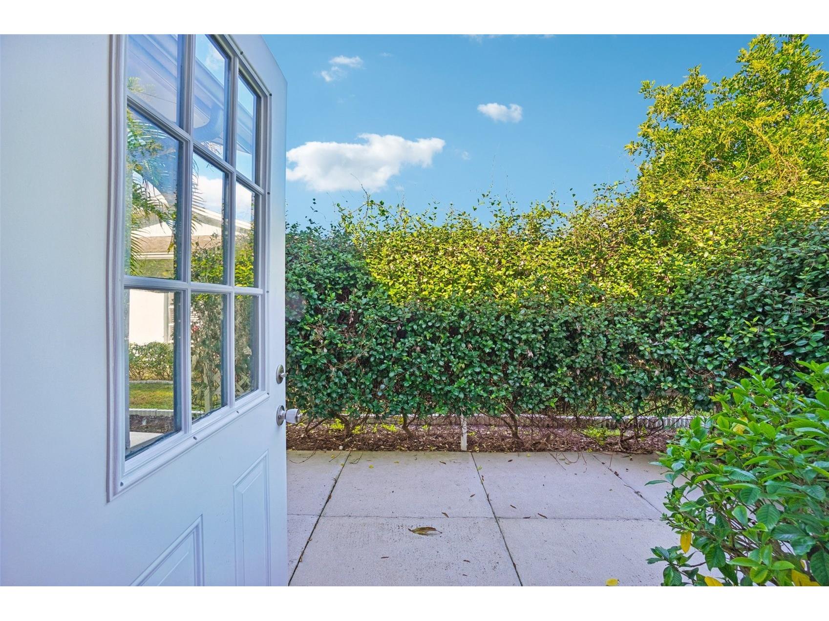 2137 Malcolm Drive Palm Harbor FL 34684 TB8462729 image25