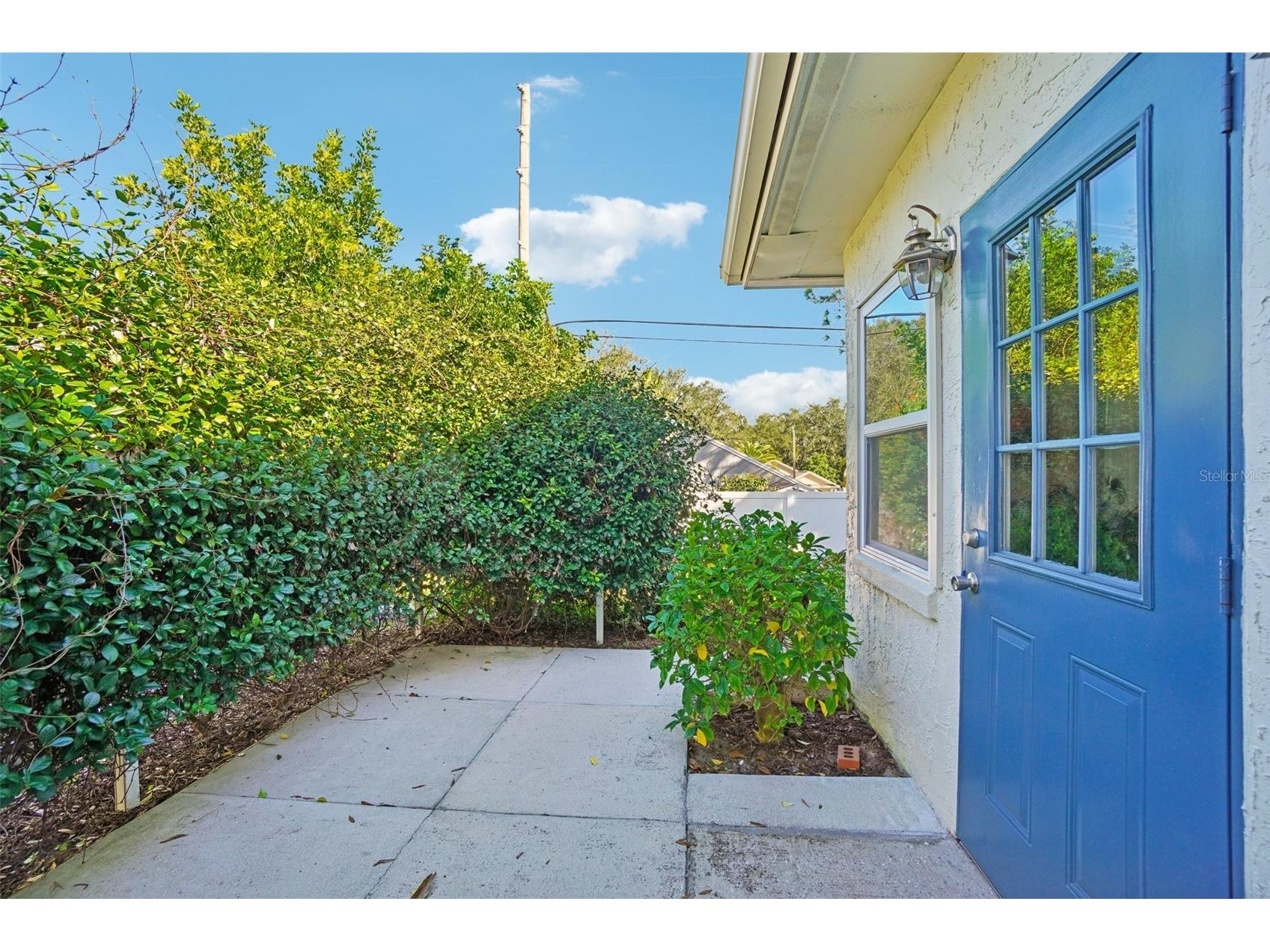 2137 Malcolm Drive Palm Harbor FL 34684 TB8462729 image26