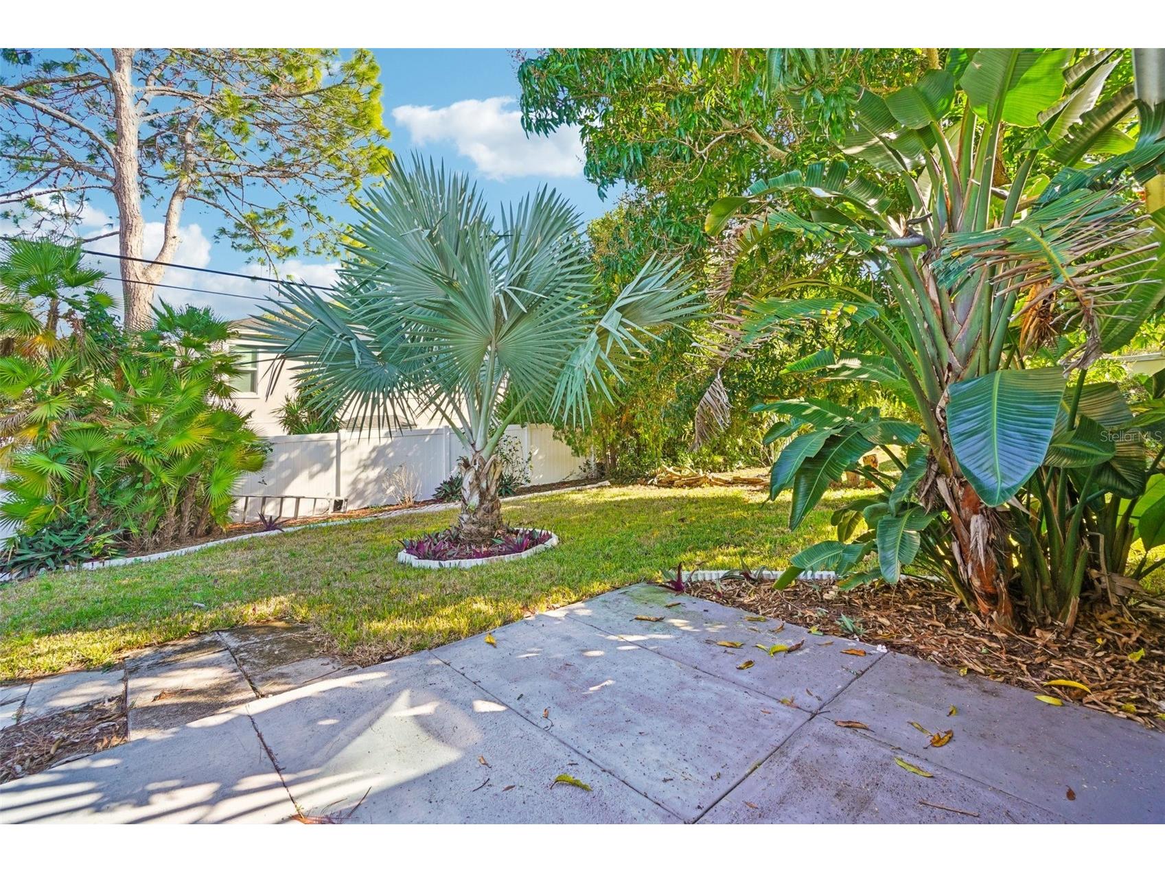 2137 Malcolm Drive Palm Harbor FL 34684 TB8462729 image27