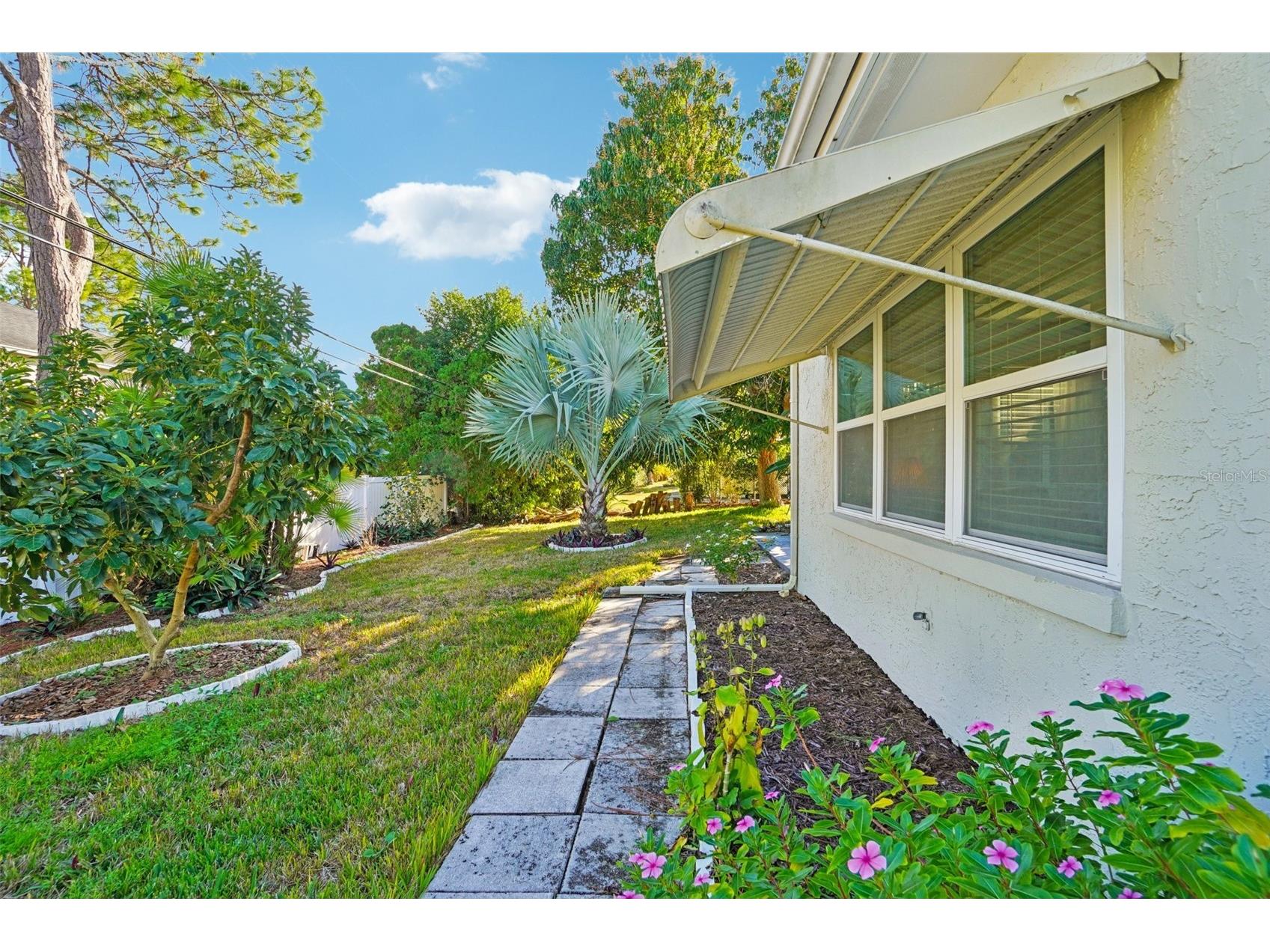 2137 Malcolm Drive Palm Harbor FL 34684 TB8462729 image29