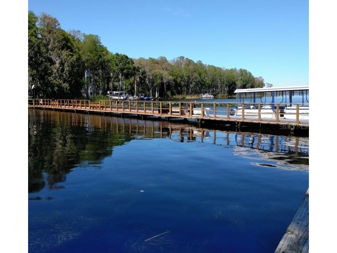 2137 Malcolm Drive Palm Harbor FL 34684 TB8462729 image31