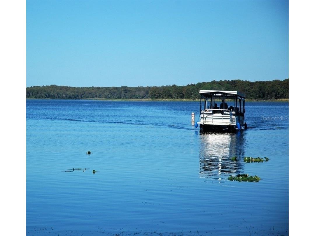 2137 Malcolm Drive Palm Harbor FL 34684 TB8462729 image32