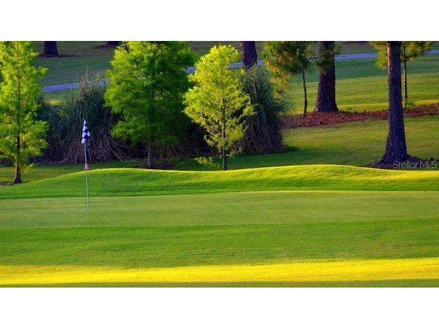 2137 Malcolm Drive Palm Harbor FL 34684 TB8462729 image36