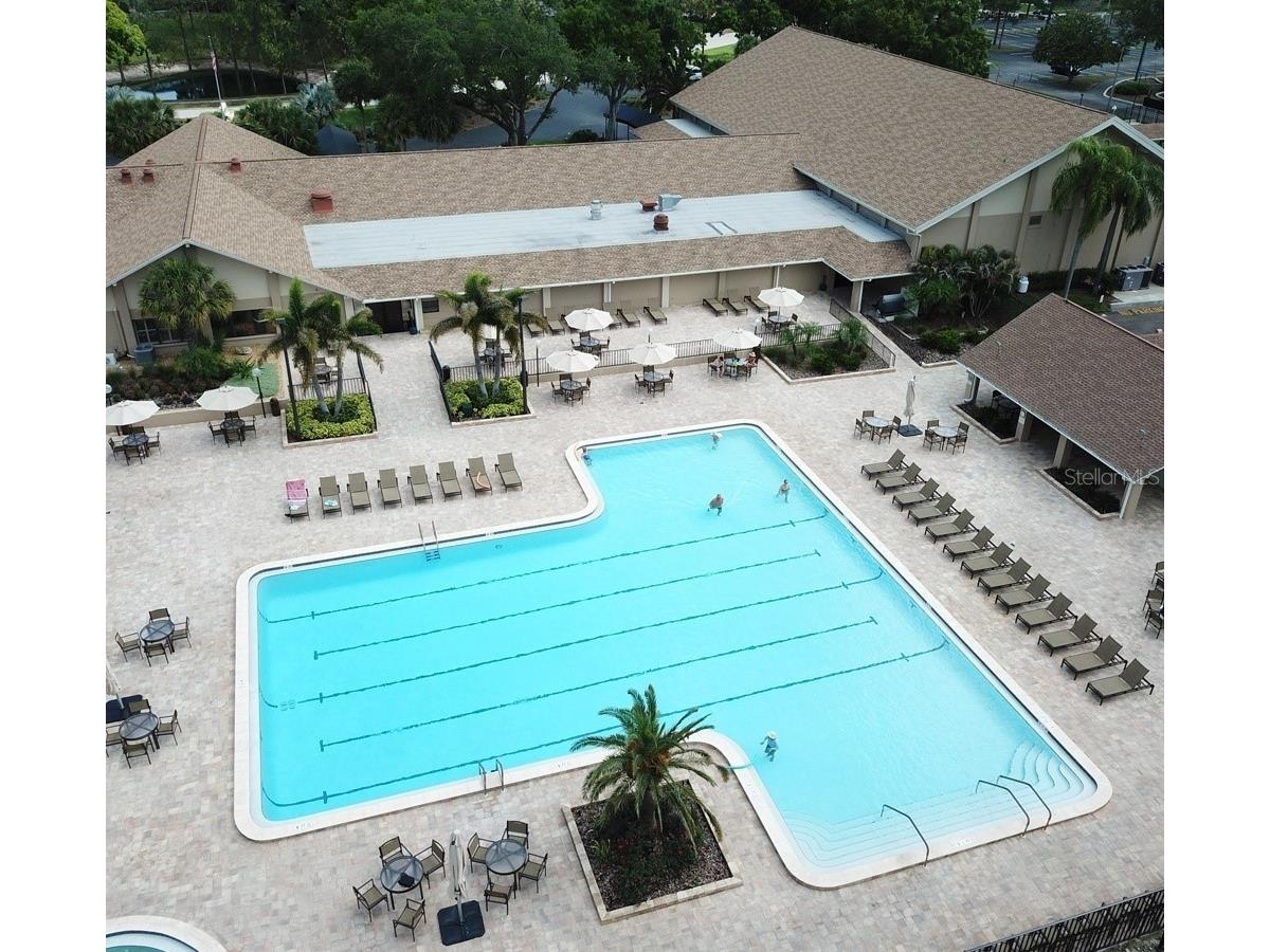 2137 Malcolm Drive Palm Harbor FL 34684 TB8462729 image37