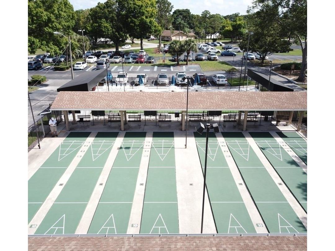 2137 Malcolm Drive Palm Harbor FL 34684 TB8462729 image38