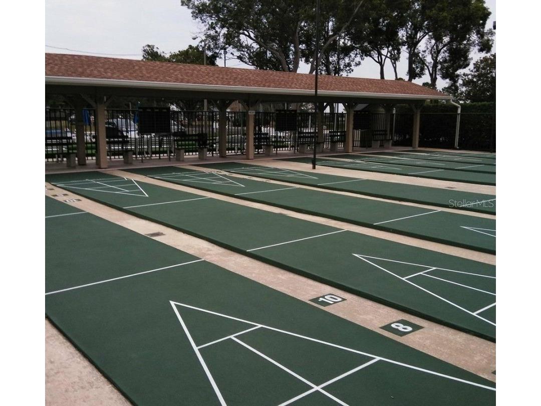 2137 Malcolm Drive Palm Harbor FL 34684 TB8462729 image39