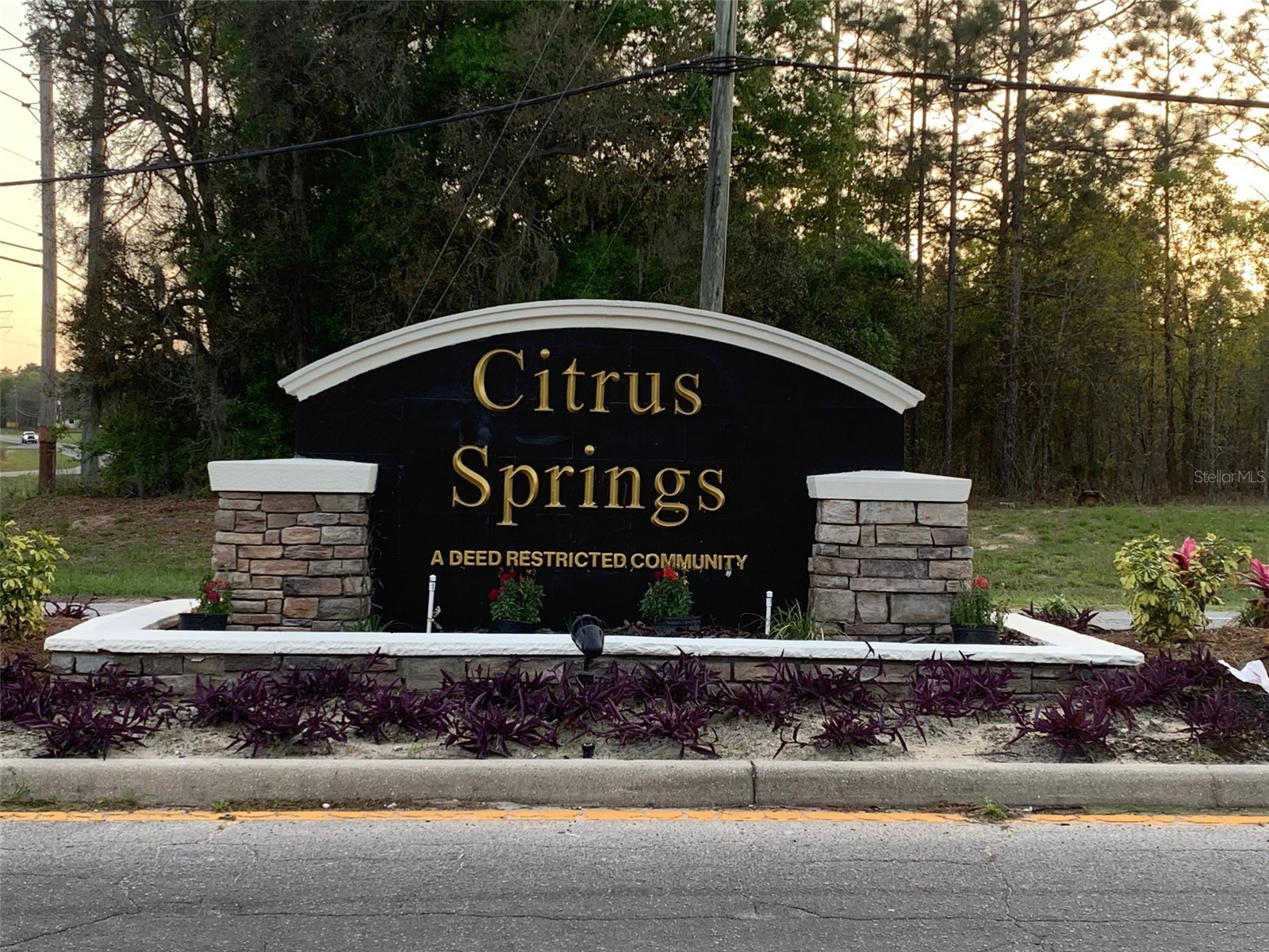 2137 W Say Drive Dunnellon FL 34434 OM714218 image14