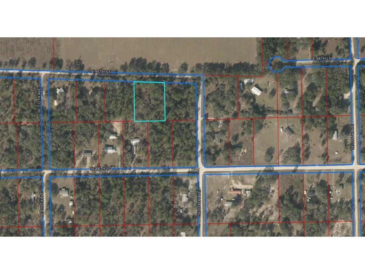 21370 SE 65th Street Morriston FL 32668 OM650162 image1