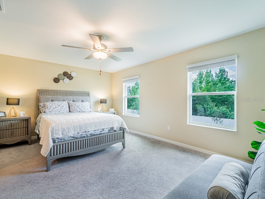 21372 Darter Road Land O Lakes FL 34638 TB8419474 image28