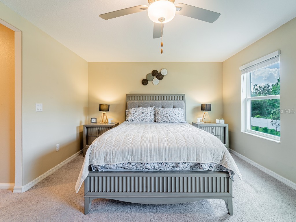 21372 Darter Road Land O Lakes FL 34638 TB8419474 image30