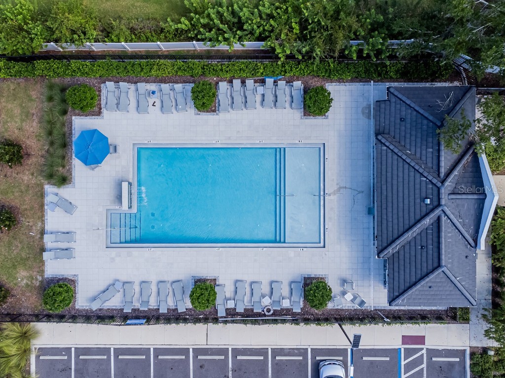 21372 Darter Road Land O Lakes FL 34638 TB8419474 image40