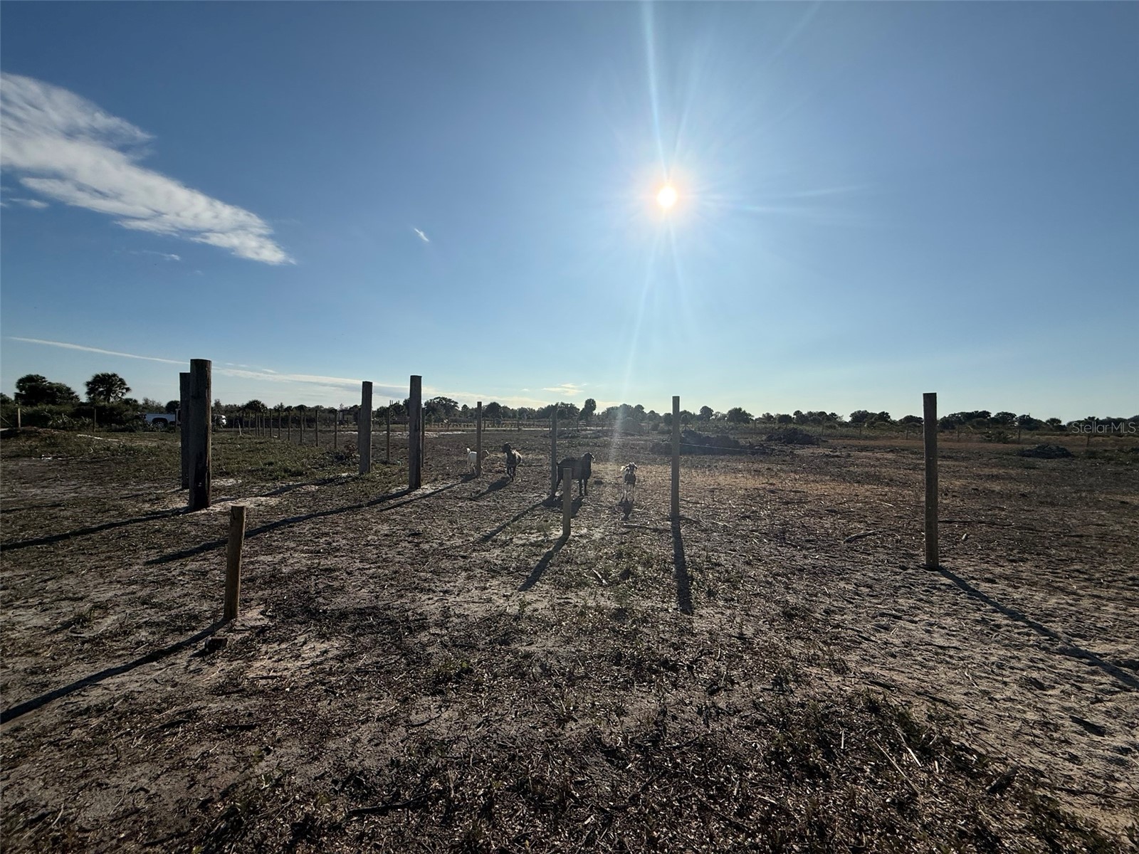 21377 NW 276th Street Okeechobee FL 34972 K4903221 image17