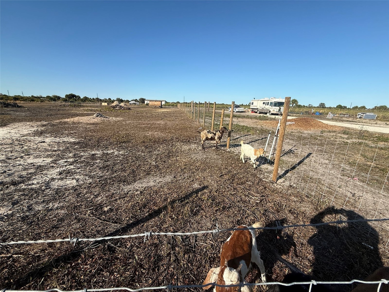 21377 NW 276th Street Okeechobee FL 34972 K4903221 image5