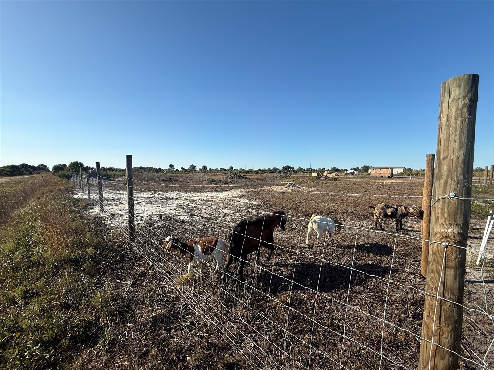 21377 NW 276th Street Okeechobee FL 34972 K4903221 image8
