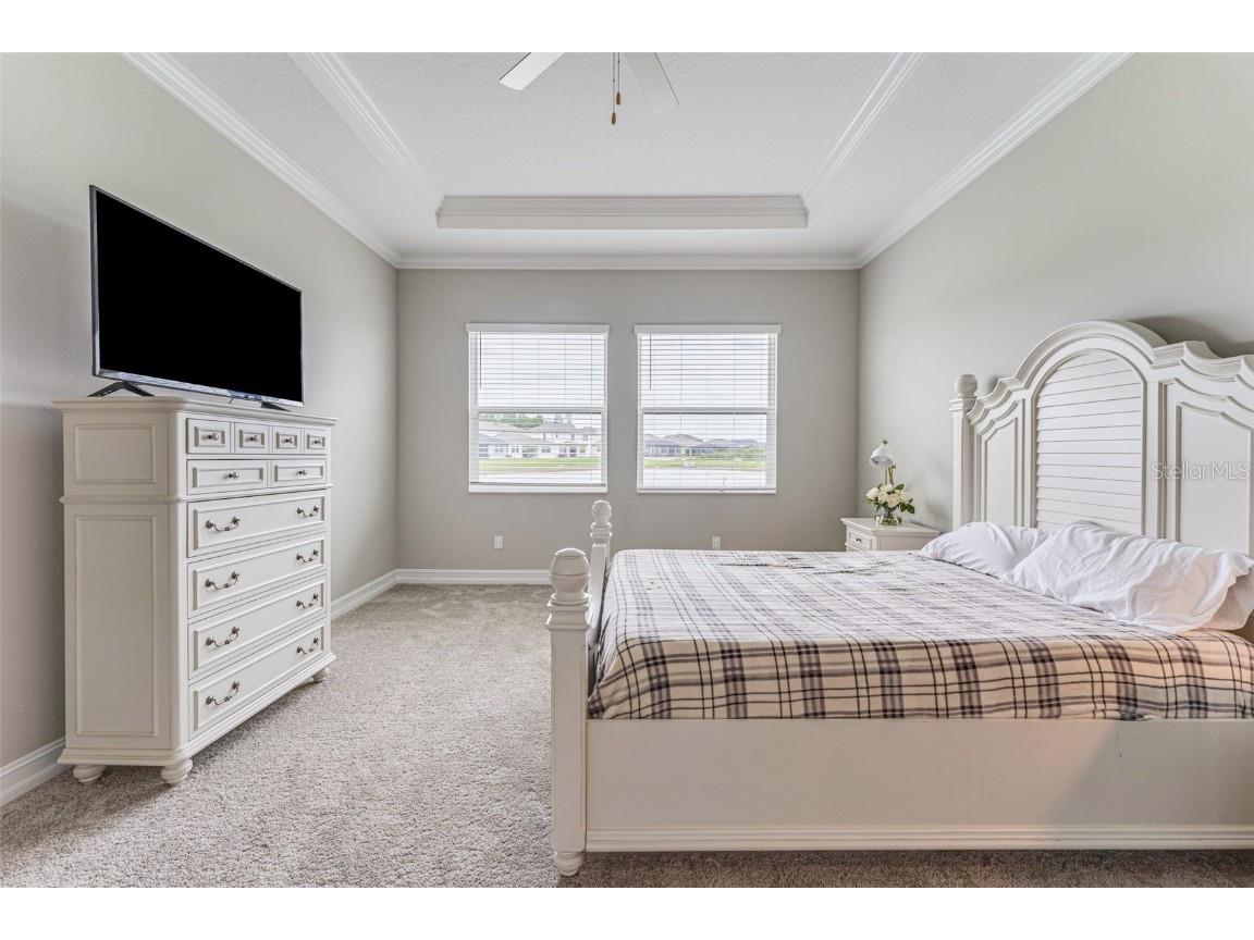 21378 Snowy Orchid Terrace Land O Lakes FL 34637 TB8461407 image24