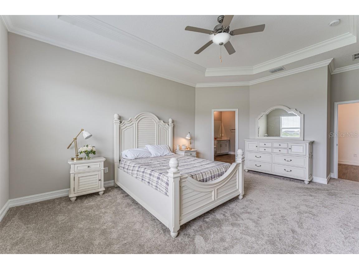 21378 Snowy Orchid Terrace Land O Lakes FL 34637 TB8461407 image25