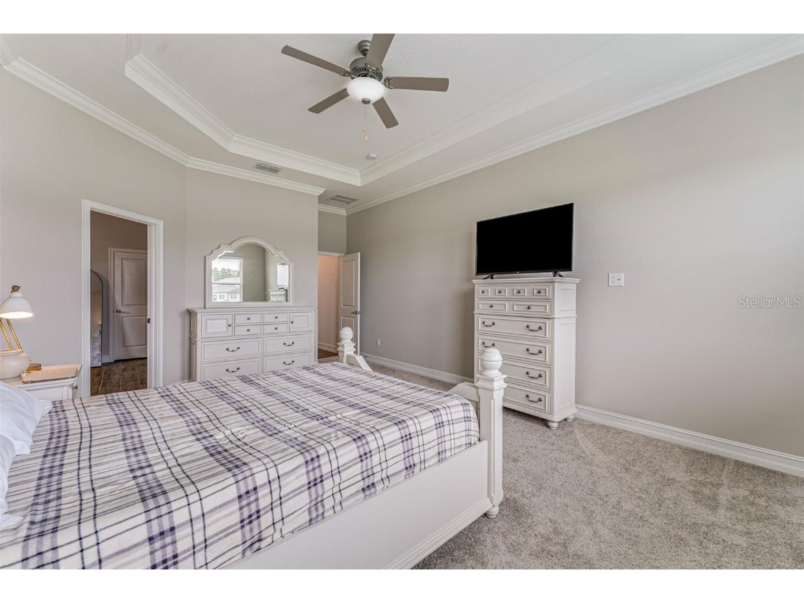 21378 Snowy Orchid Terrace Land O Lakes FL 34637 TB8461407 image26