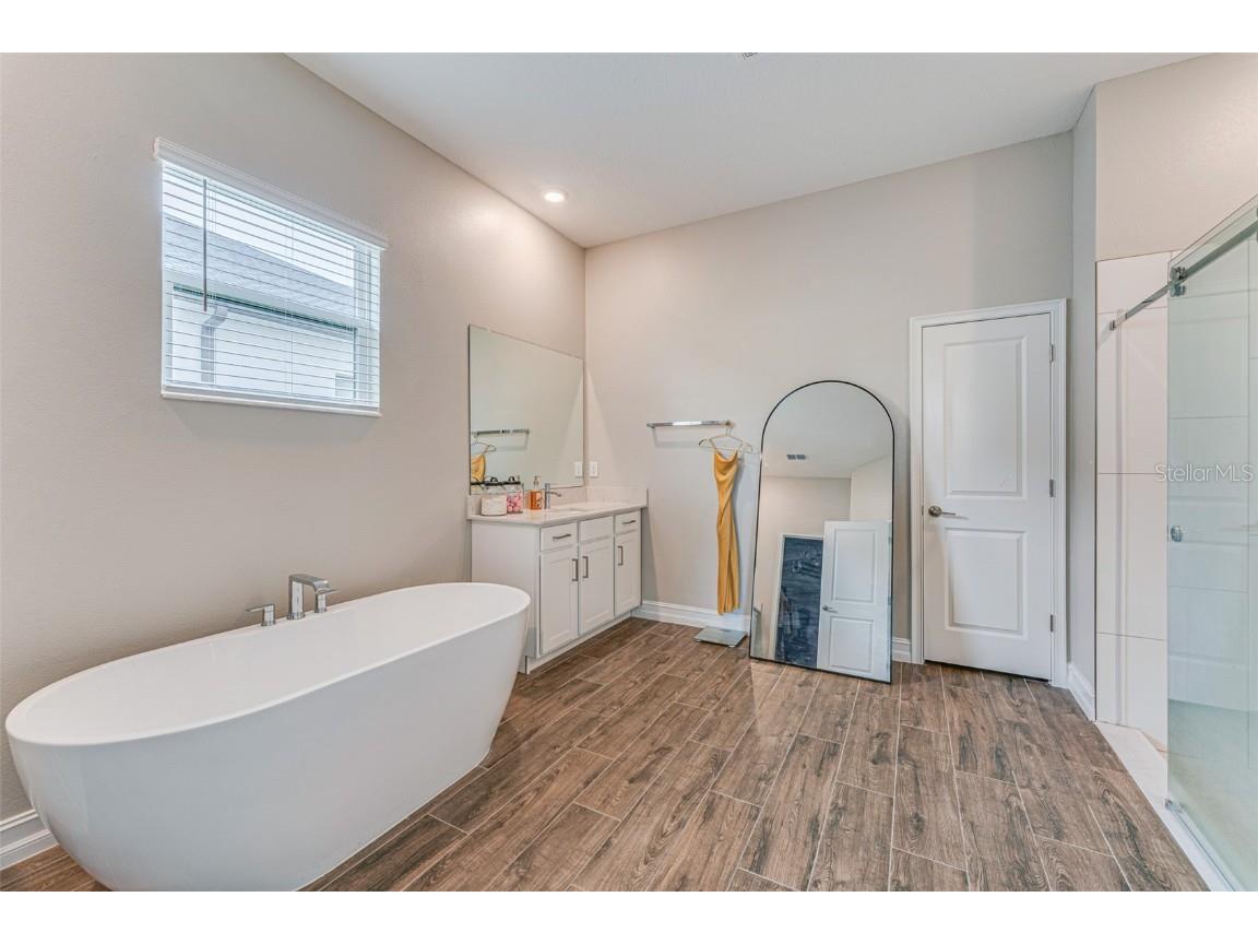 21378 Snowy Orchid Terrace Land O Lakes FL 34637 TB8461407 image27