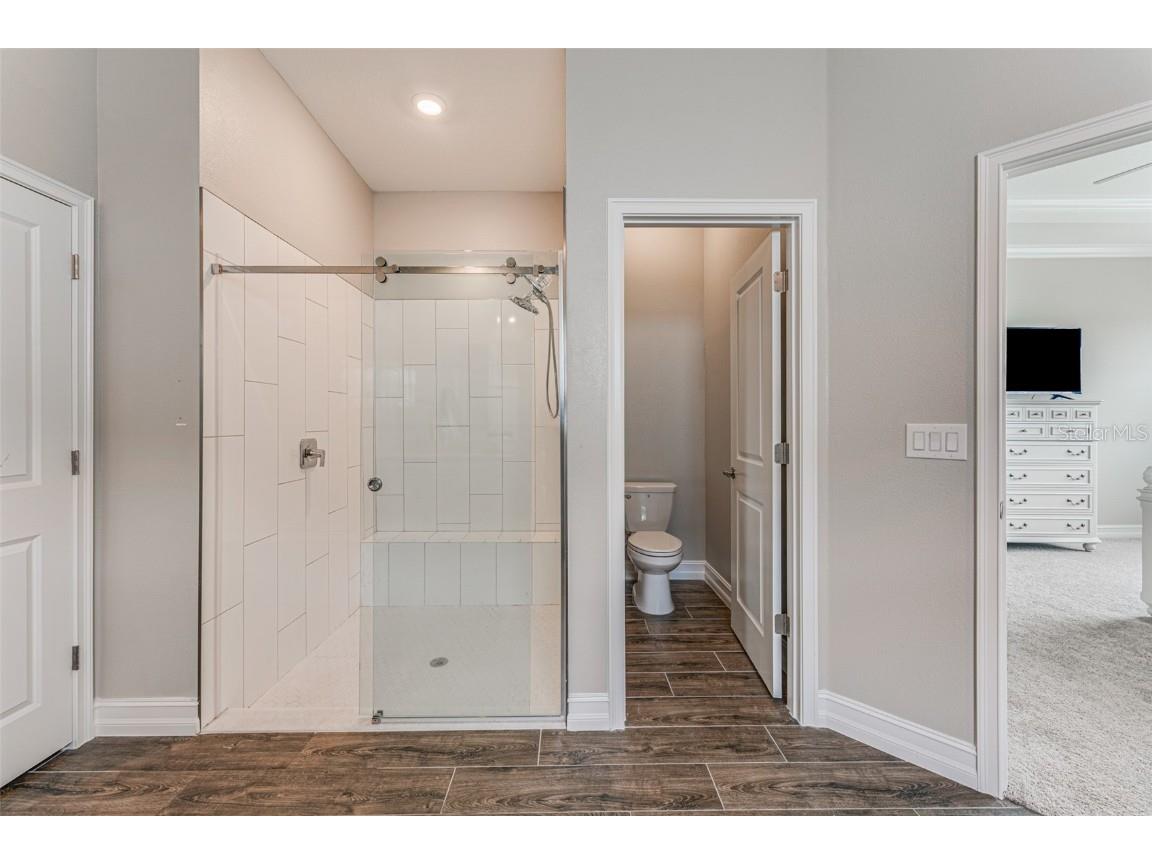 21378 Snowy Orchid Terrace Land O Lakes FL 34637 TB8461407 image30