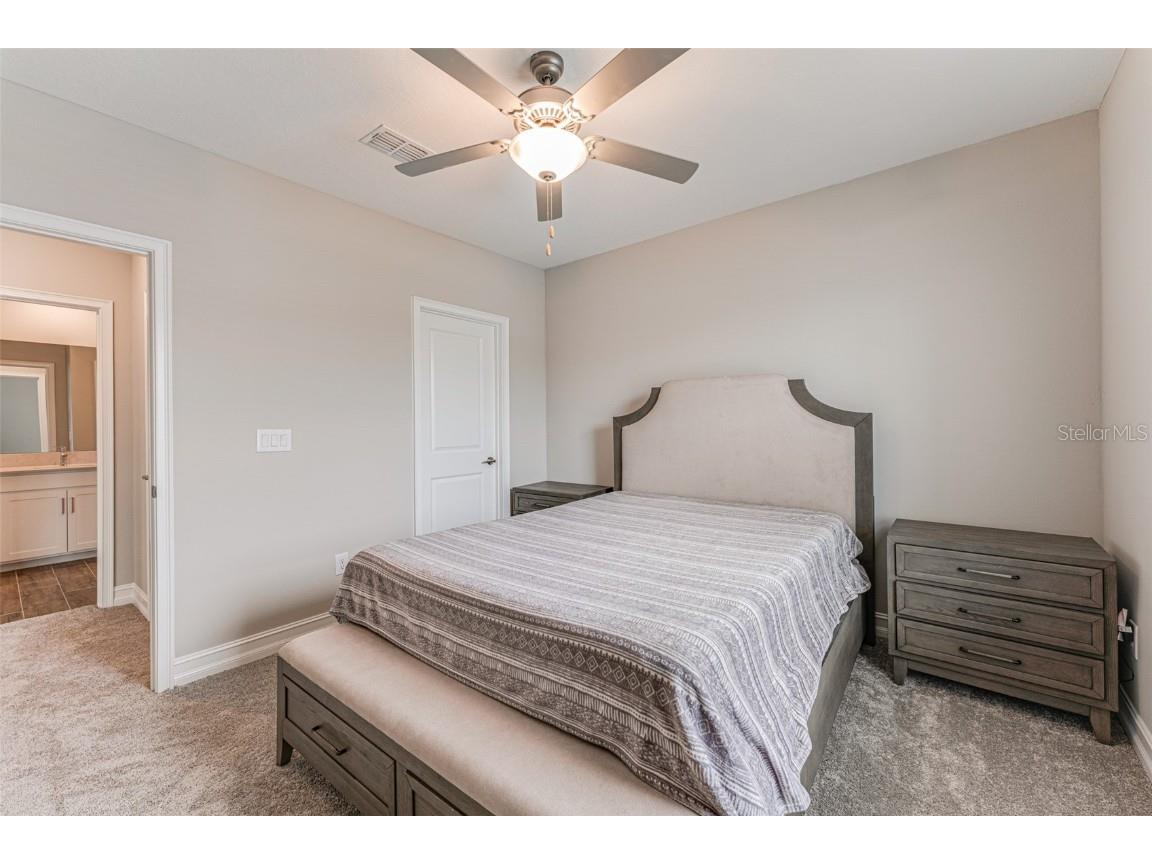 21378 Snowy Orchid Terrace Land O Lakes FL 34637 TB8461407 image35