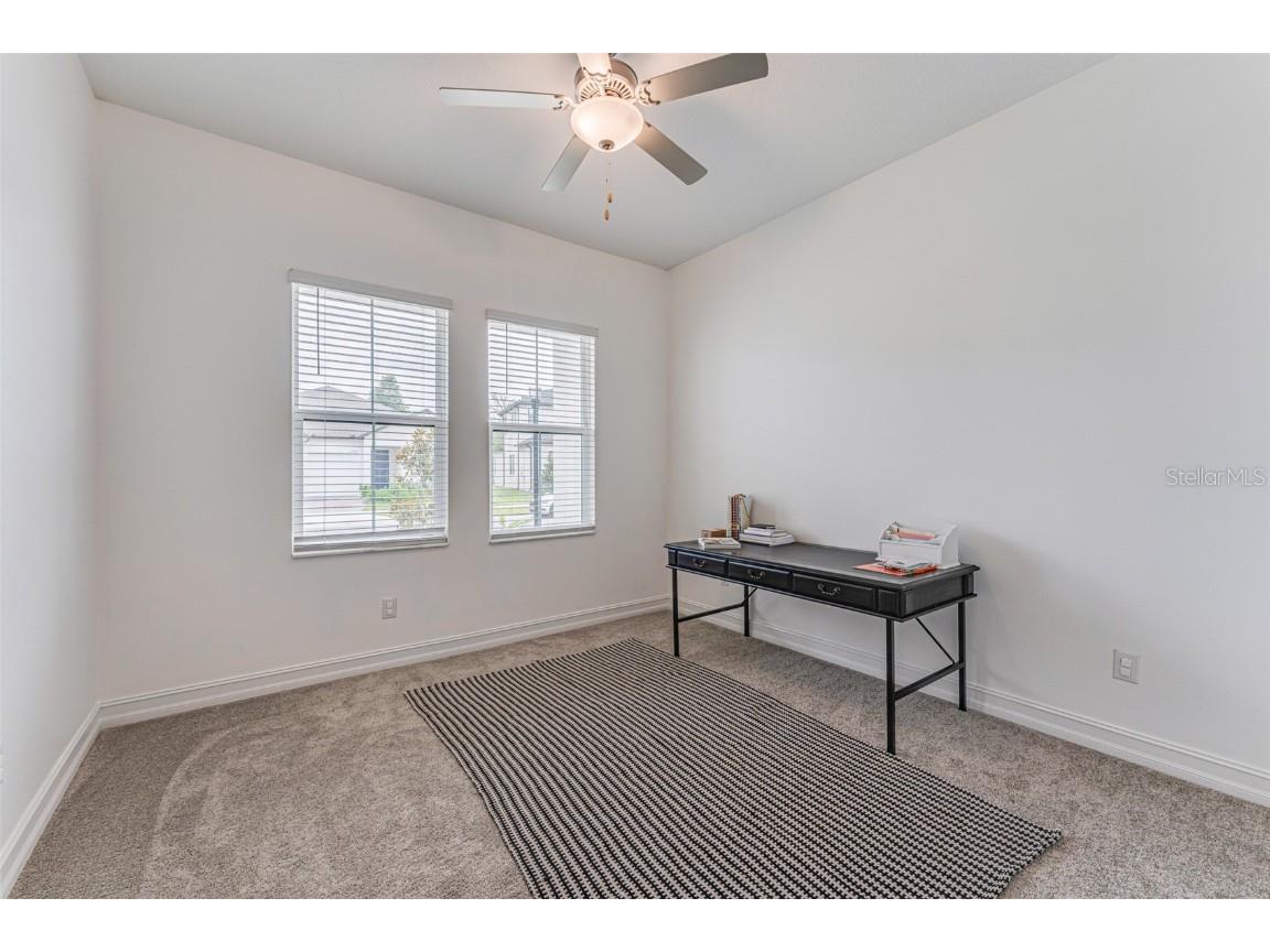 21378 Snowy Orchid Terrace Land O Lakes FL 34637 TB8461407 image45