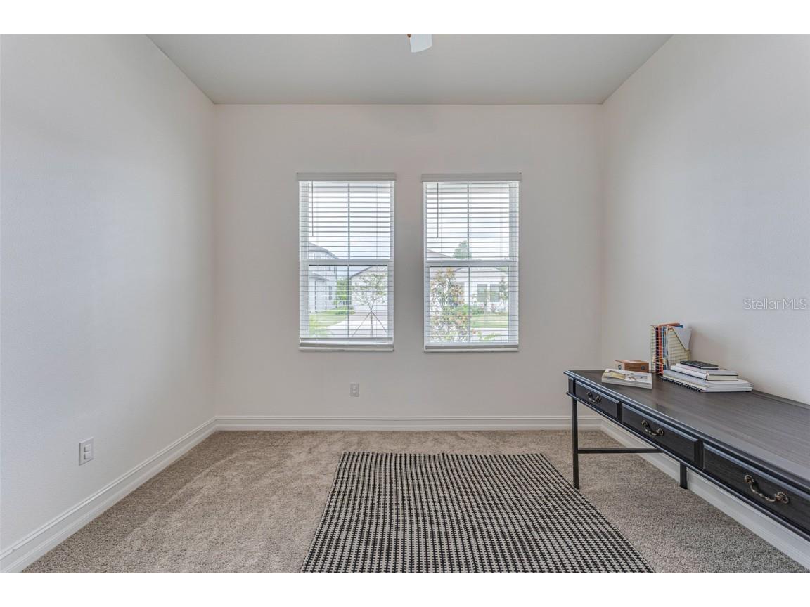 21378 Snowy Orchid Terrace Land O Lakes FL 34637 TB8461407 image46