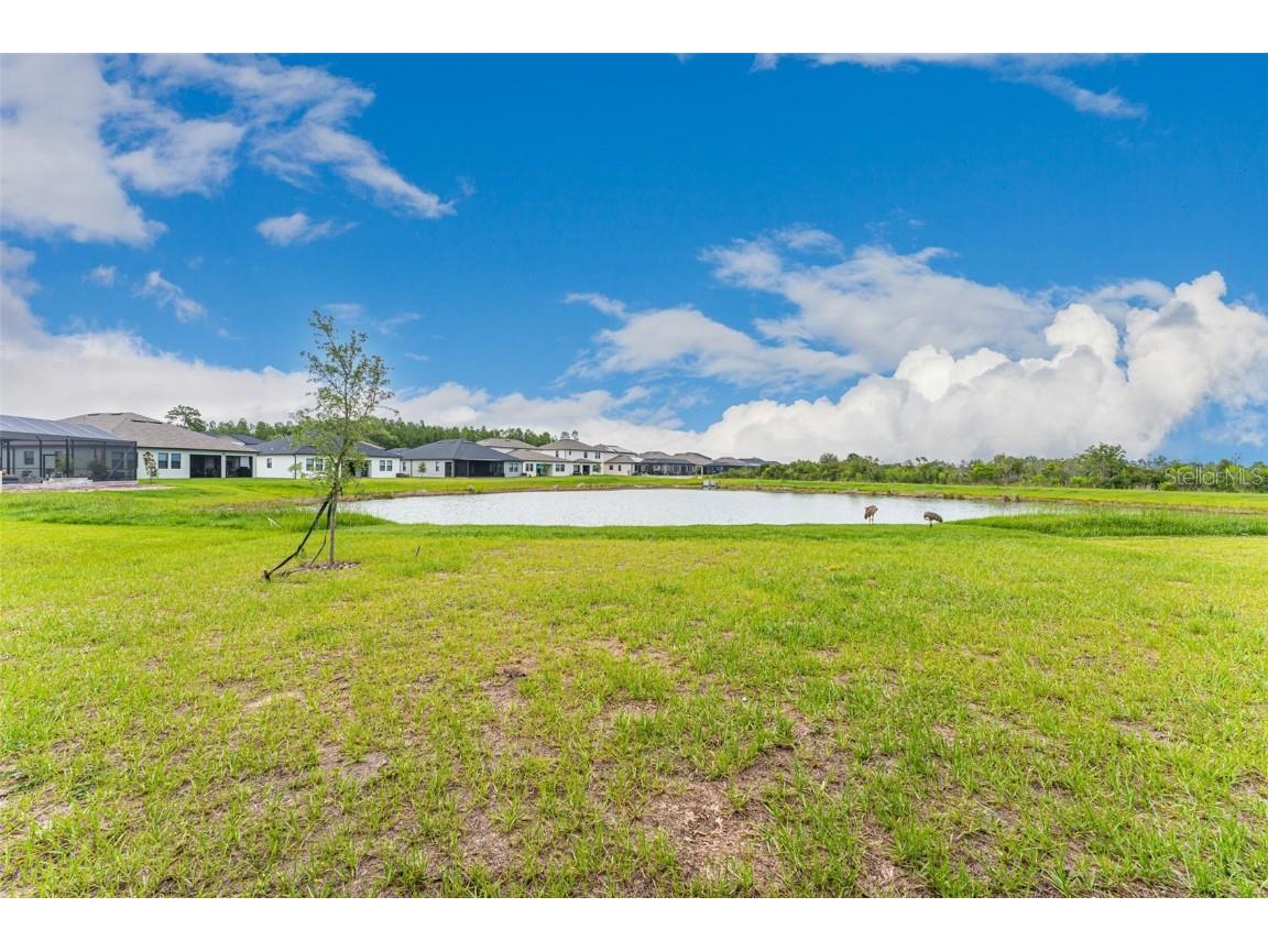 21378 Snowy Orchid Terrace Land O Lakes FL 34637 TB8461407 image50