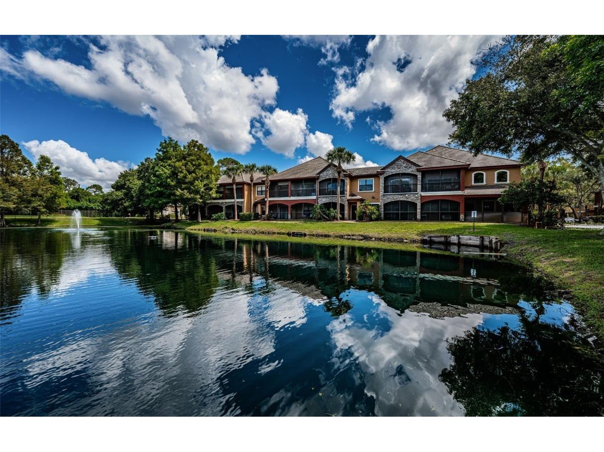 2138 Chianti Place #142 Palm Harbor FL 34683 TB8353011 image1