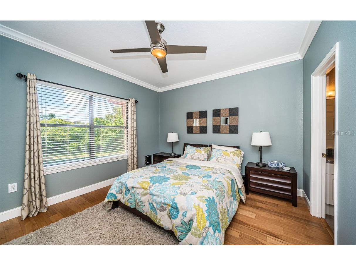 2138 Chianti Place #142 Palm Harbor FL 34683 TB8353011 image13