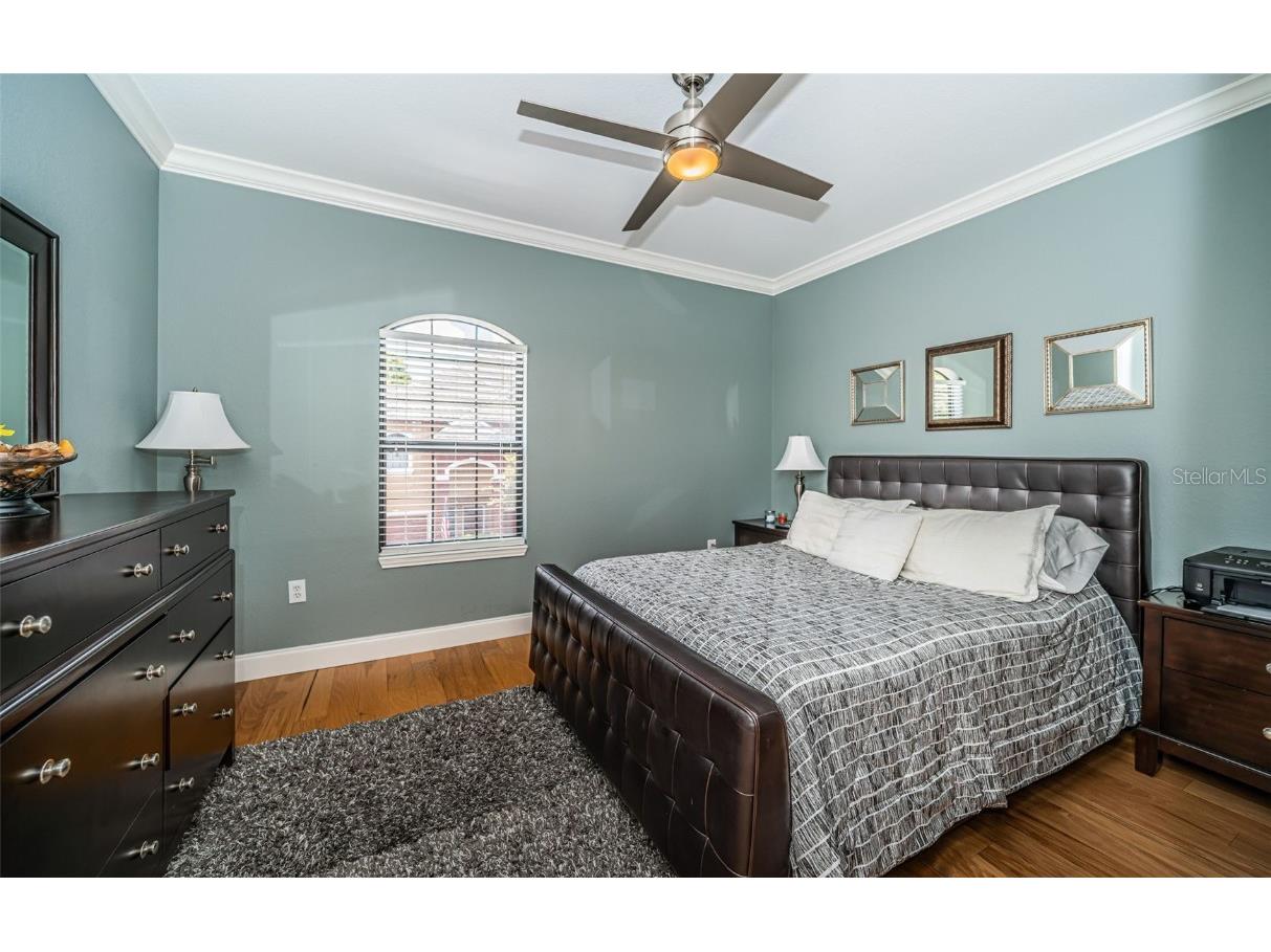 2138 Chianti Place #142 Palm Harbor FL 34683 TB8353011 image16