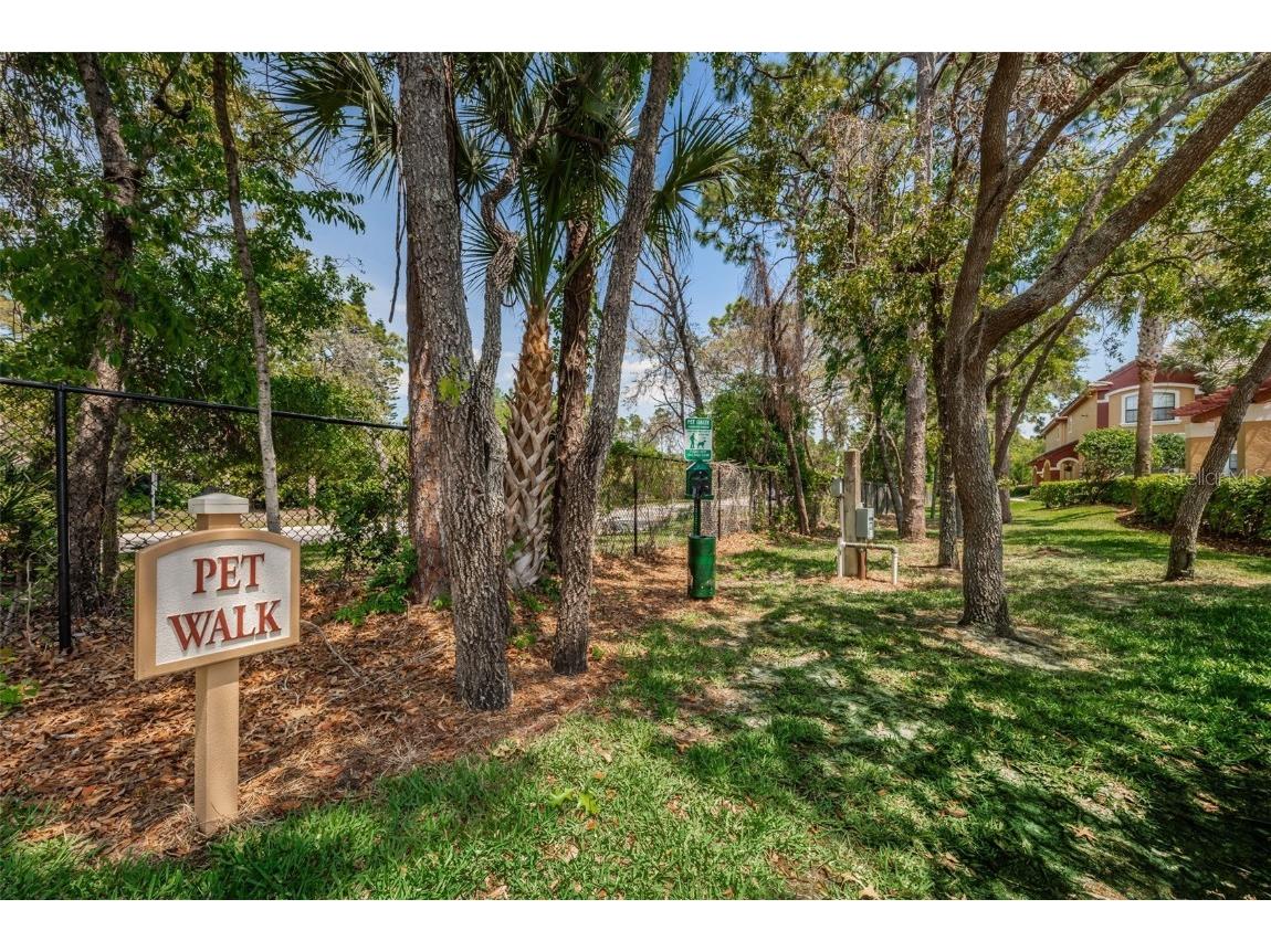 2138 Chianti Place #142 Palm Harbor FL 34683 TB8353011 image39
