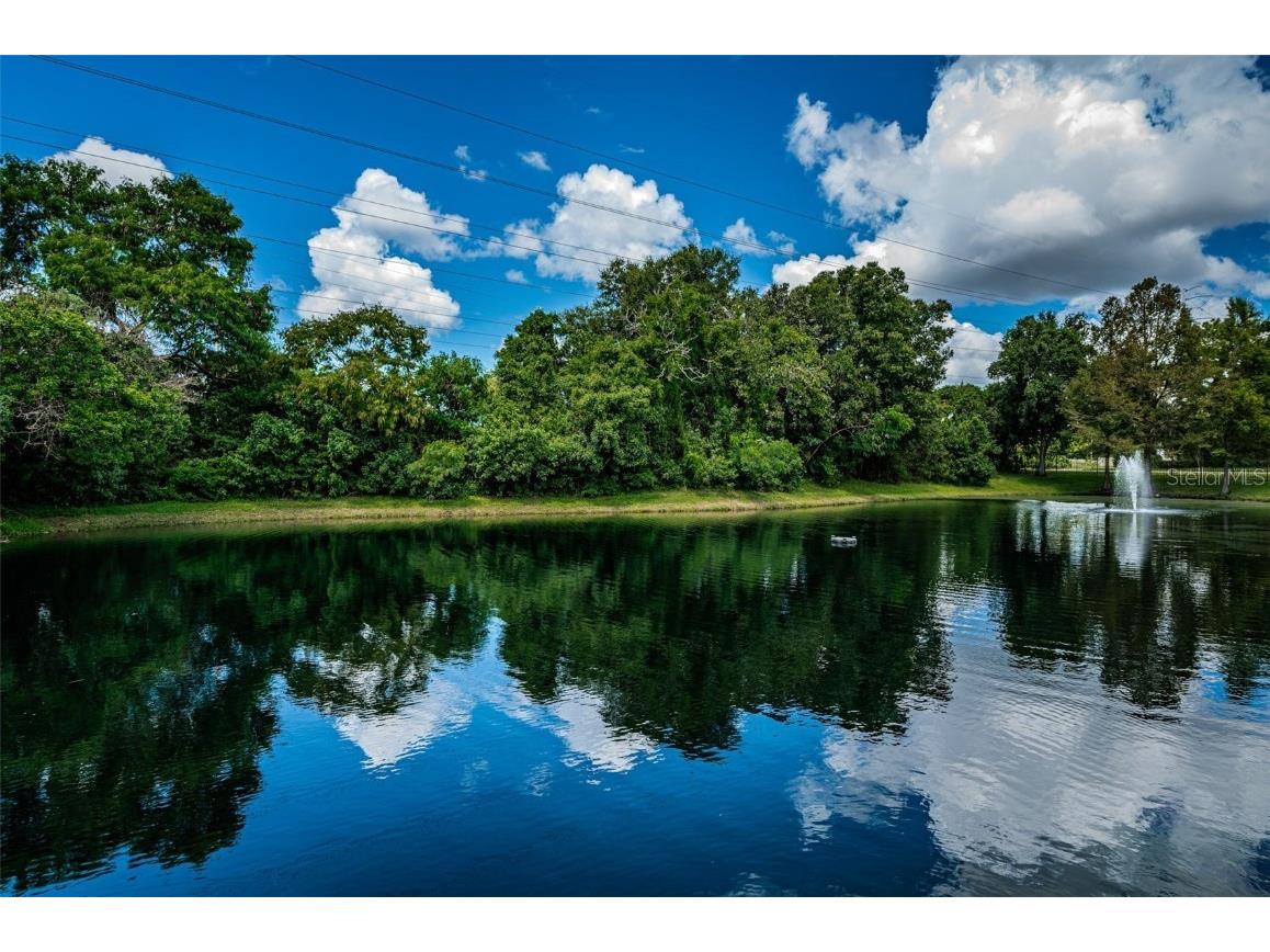 2138 Chianti Place #142 Palm Harbor FL 34683 TB8353011 image5