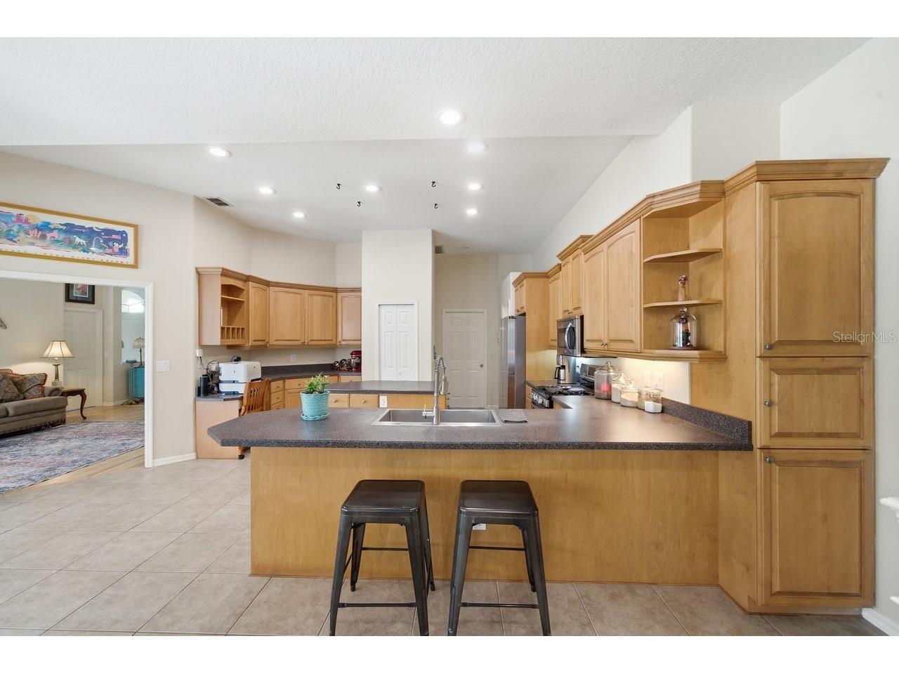 2138 Edelweiss Loop Trinity FL 34655 TB8513467 image16