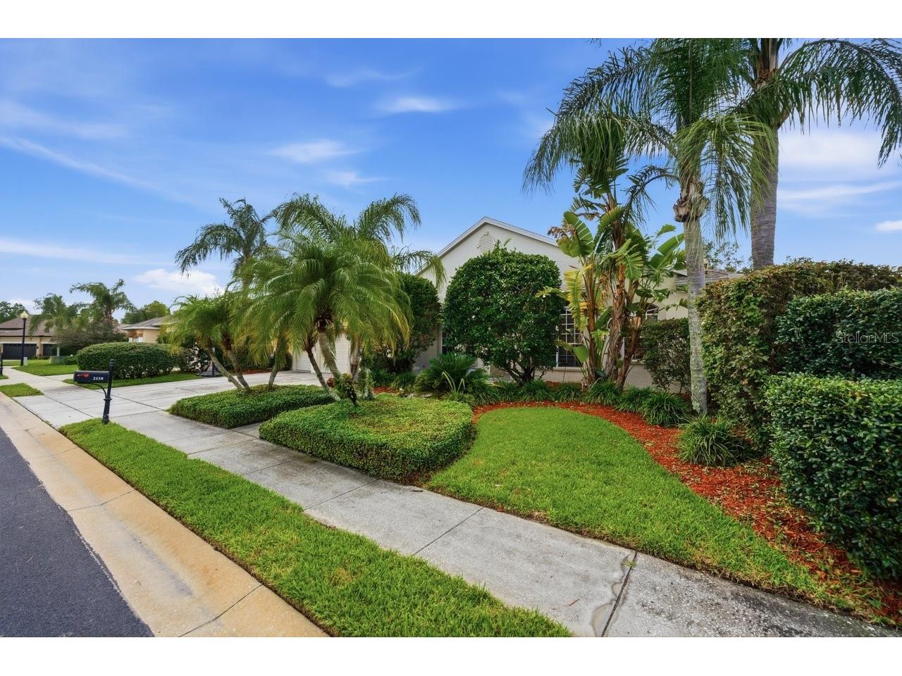 2138 Edelweiss Loop Trinity FL 34655 TB8513467 image2