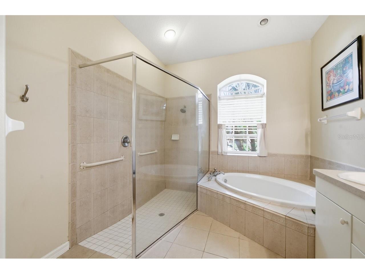 2138 Edelweiss Loop Trinity FL 34655 TB8513467 image30