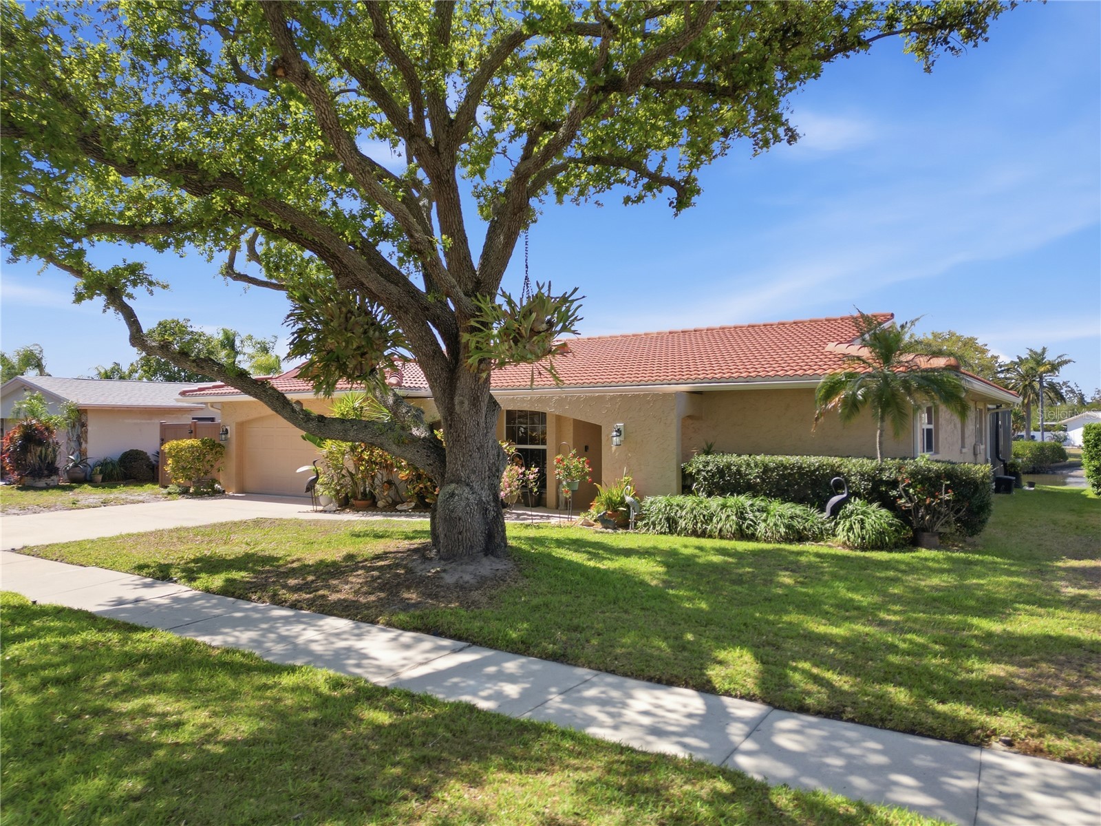 2138 Egret Drive Clearwater FL 33764 TB8490422 image3
