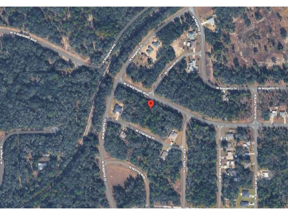 2138 W G Martinelli Boulevard Citrus Springs FL 34434 A4674229 image4