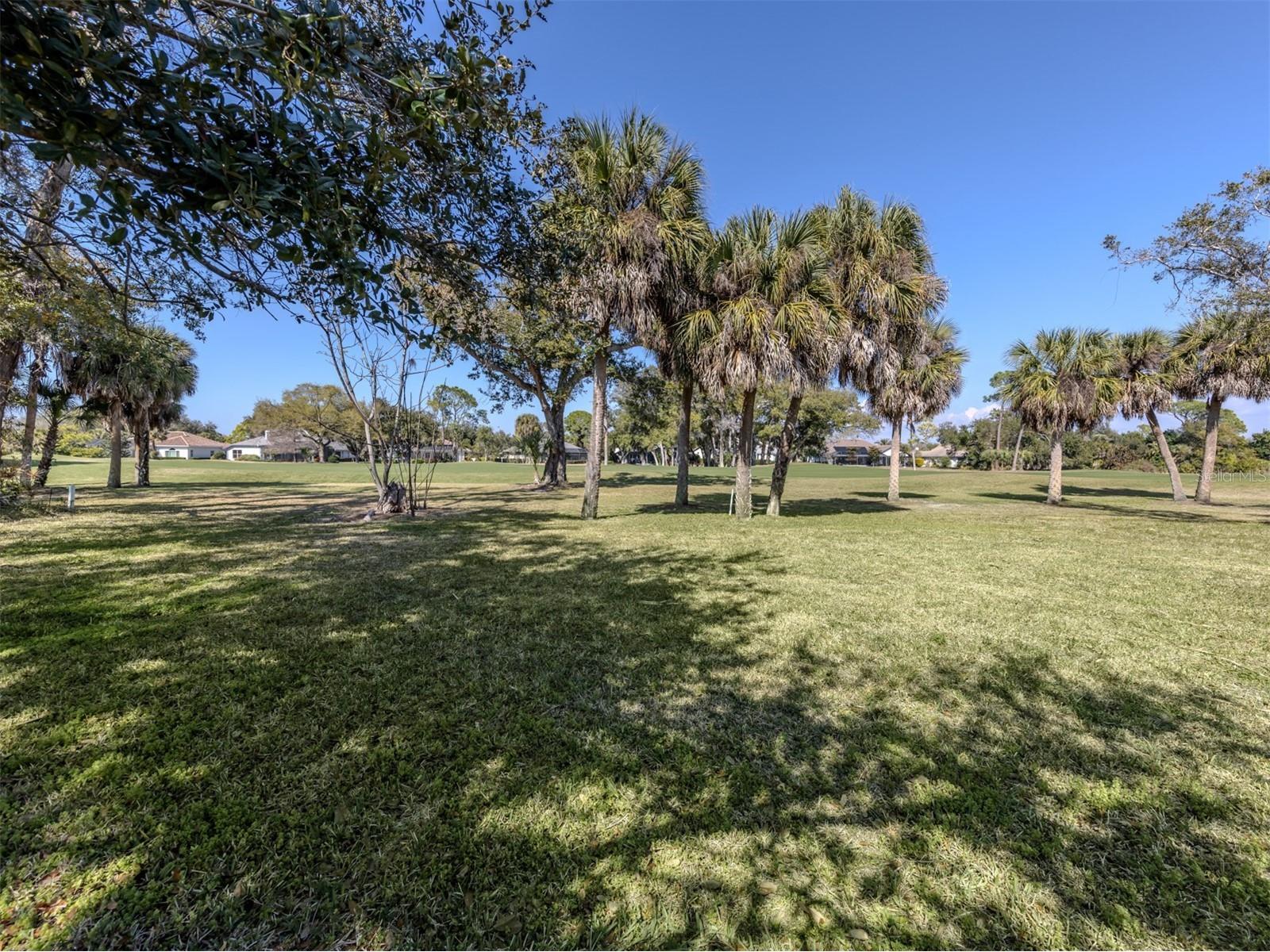 2139 Calusa Lakes Boulevard Nokomis FL 34275 N6142903 image31