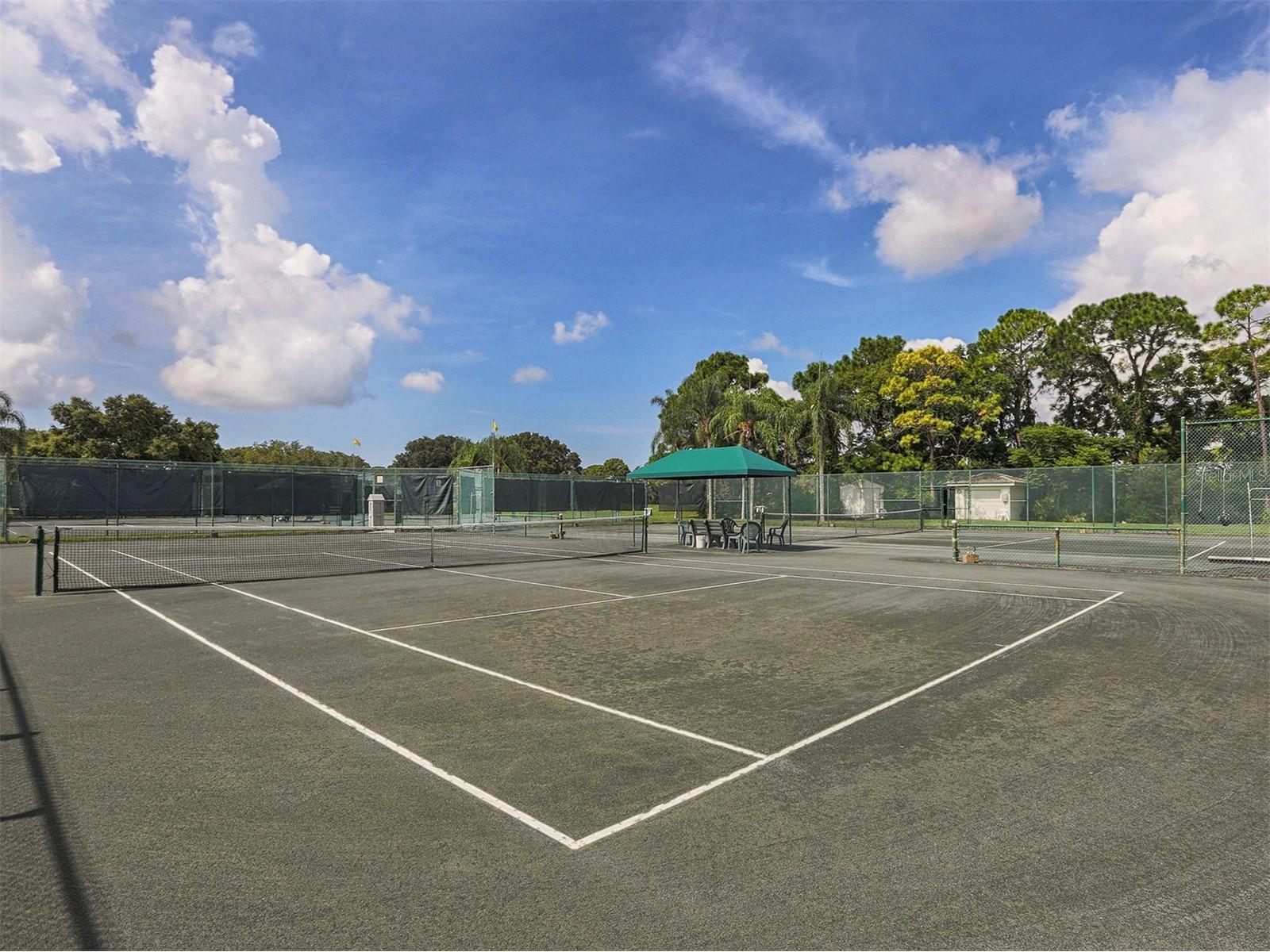 2139 Calusa Lakes Boulevard Nokomis FL 34275 N6142903 image38