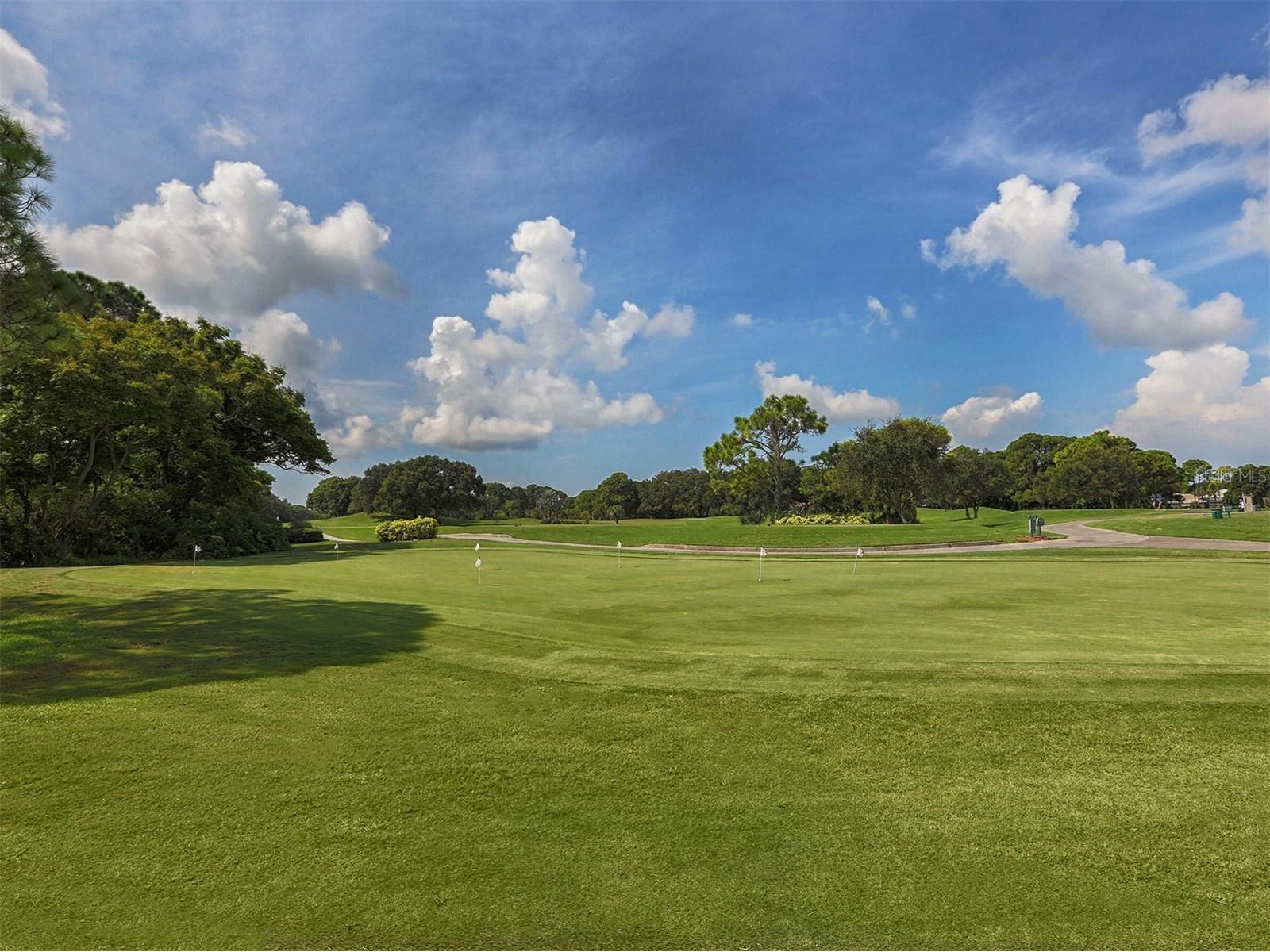 2139 Calusa Lakes Boulevard Nokomis FL 34275 N6142903 image40
