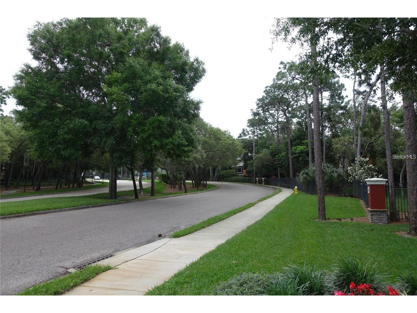 2139 Chianti Place #154 Palm Harbor FL 34683 W7883838 image23
