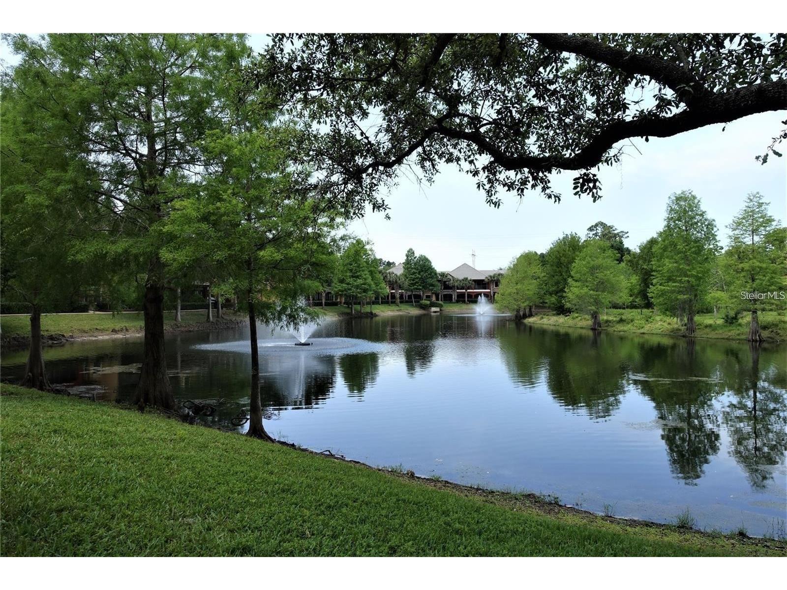2139 Chianti Place #154 Palm Harbor FL 34683 W7883838 image25