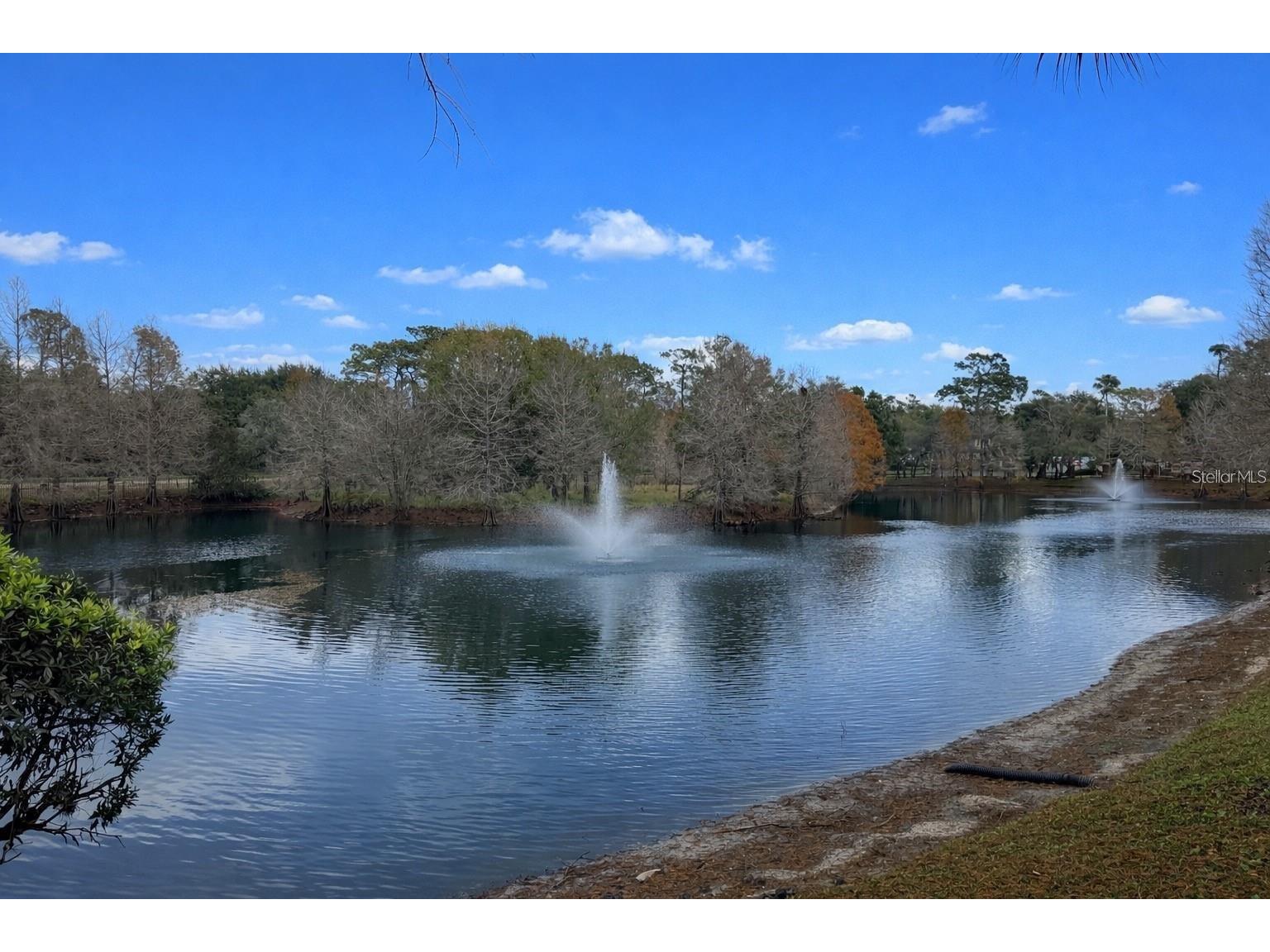 2139 Chianti Place #154 Palm Harbor FL 34683 W7883838 image26