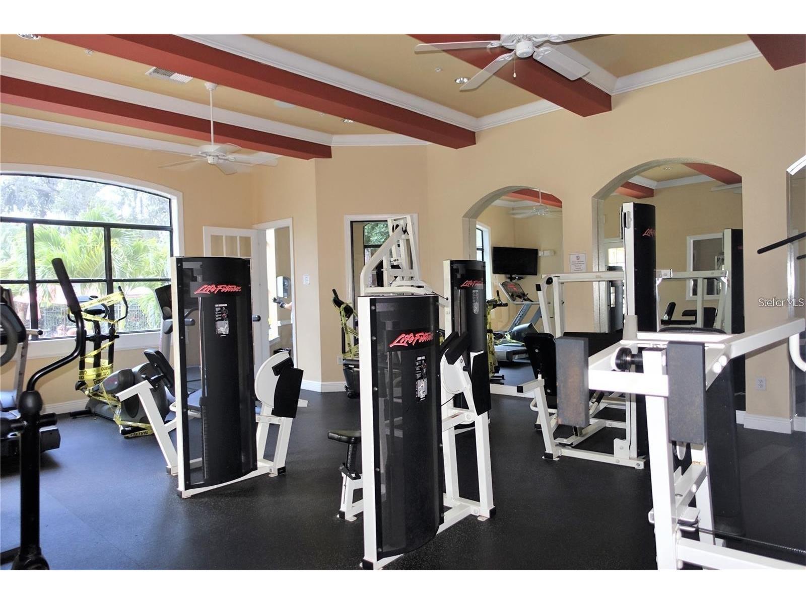 2139 Chianti Place #154 Palm Harbor FL 34683 W7883838 image30