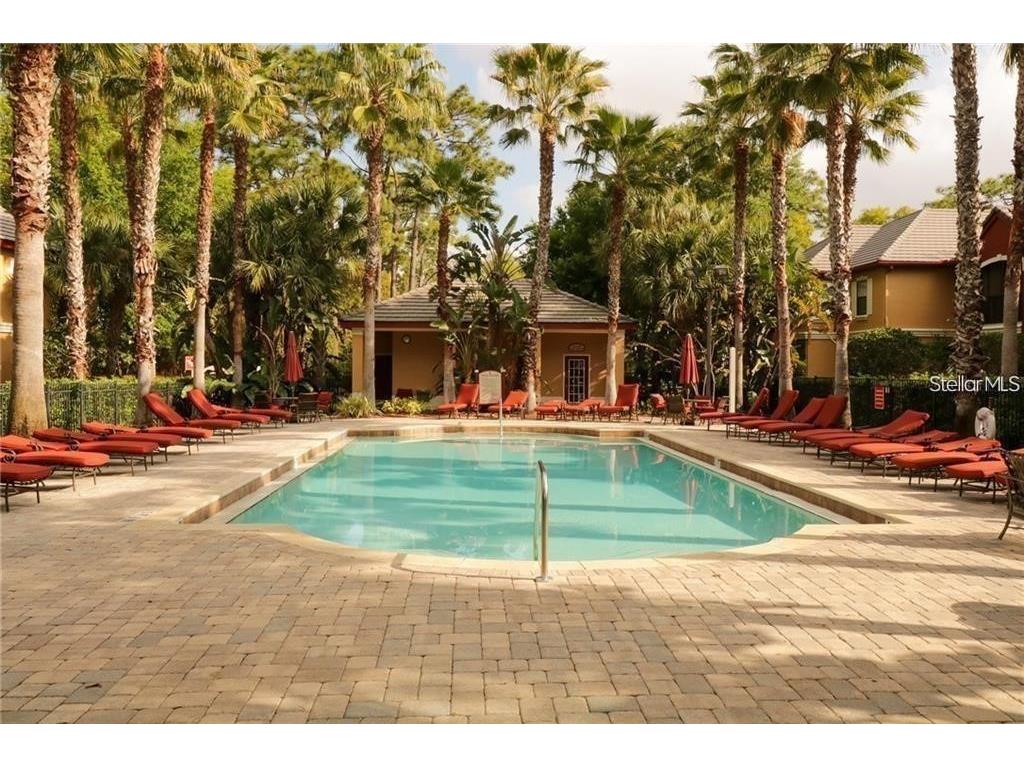 2139 Chianti Place #154 Palm Harbor FL 34683 W7883838 image40