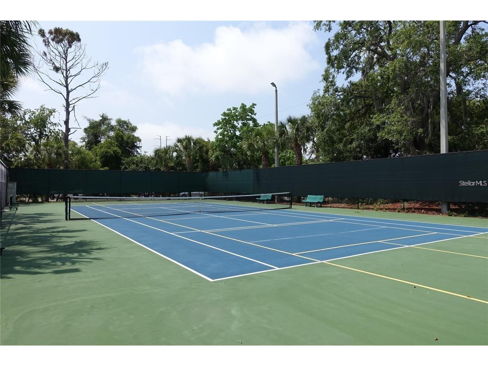2139 Chianti Place #154 Palm Harbor FL 34683 W7883838 image41