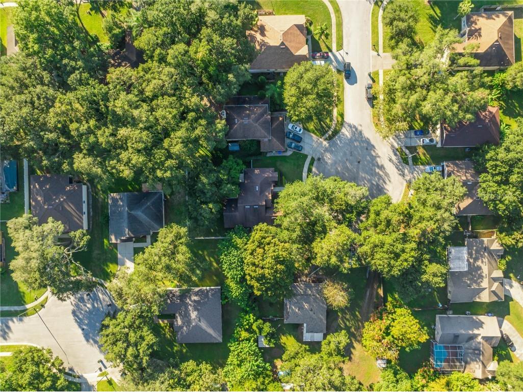 2139 Cunard Court Ocoee FL 34761 O6357224 image43