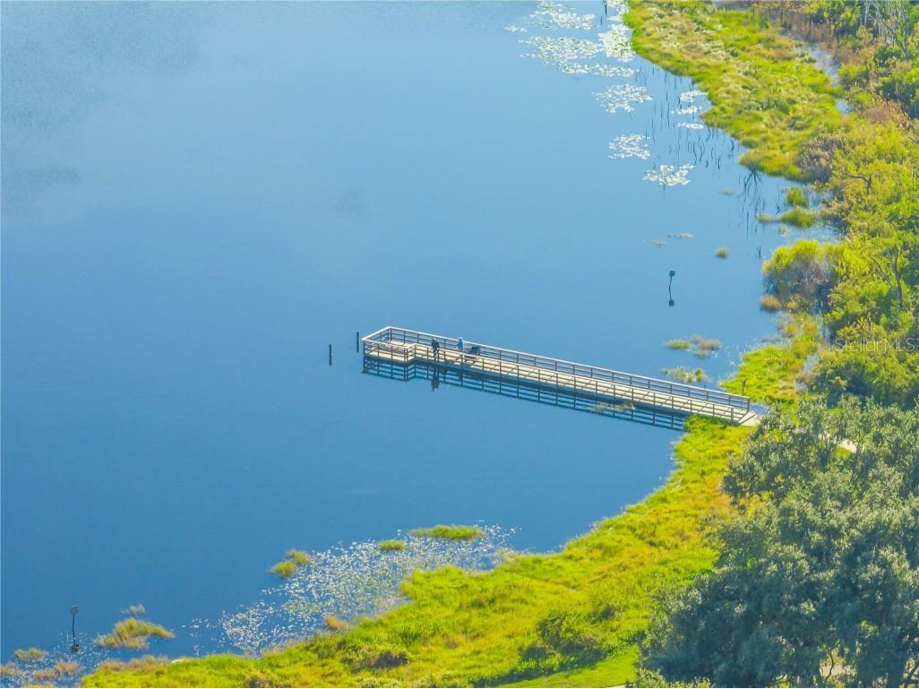 2139 Cunard Court Ocoee FL 34761 O6357224 image54