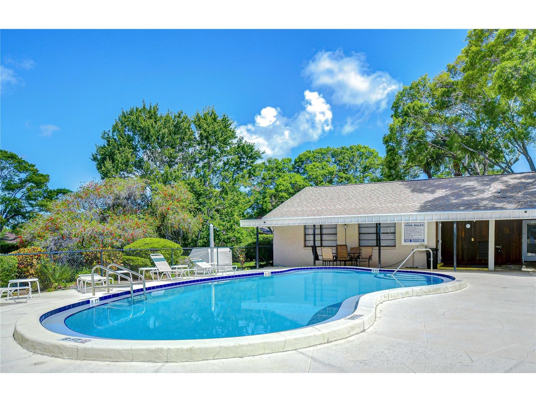 2139 Elm Street #308 Dunedin FL 34698 TB8385968 image13