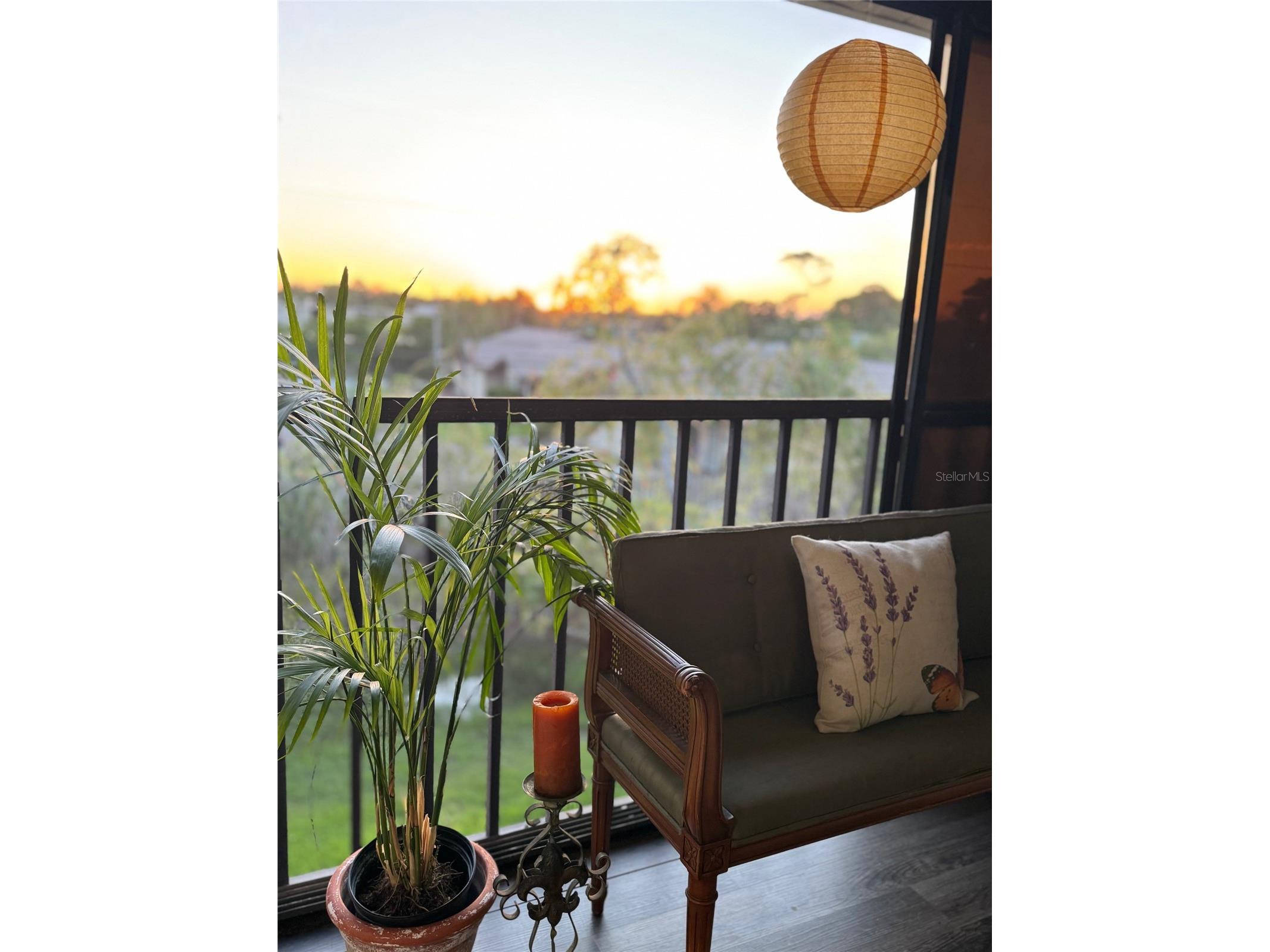 2139 Elm Street #308 Dunedin FL 34698 TB8385968 image25